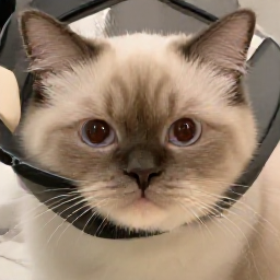 금요일