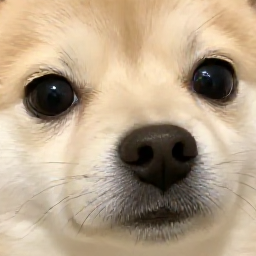 미뇸