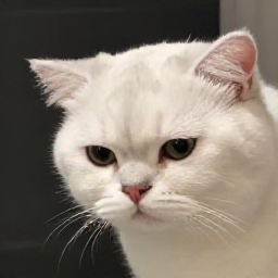 꽉뚤륽