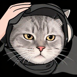 dukkeop bias