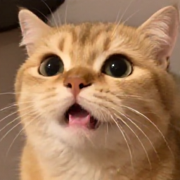 yayaachu