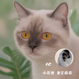 김희산궁