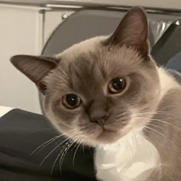 봉개