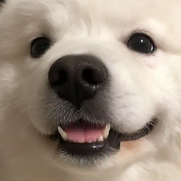 이정지니