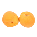 Apricot