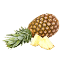 Tropical Fruit