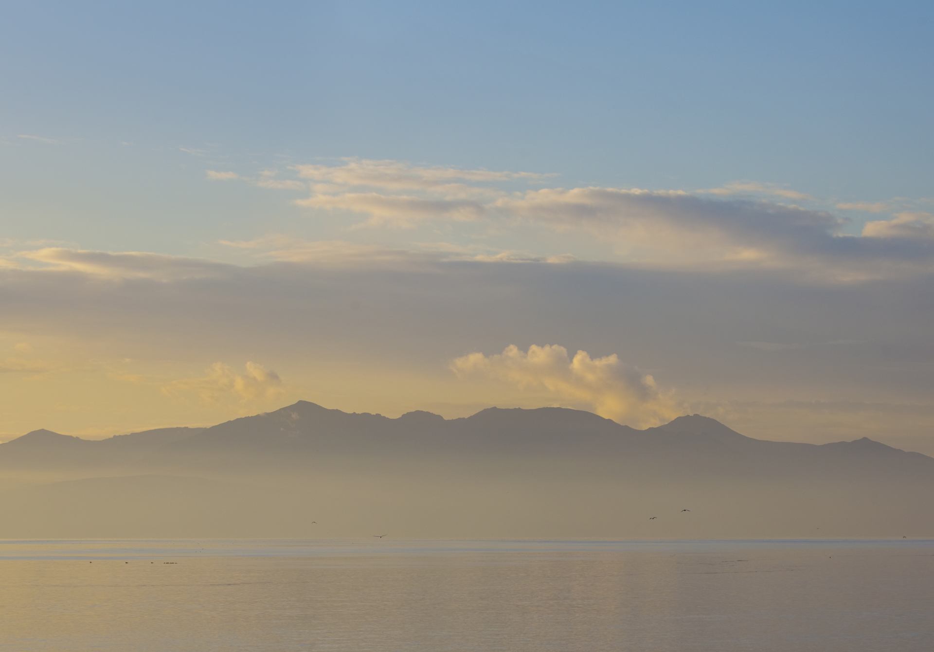 Arran