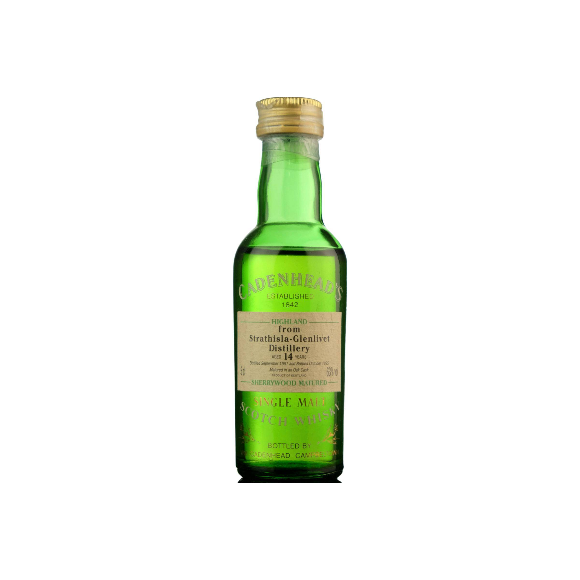 Strathisla 1981 14 Years Single Malt Whisky 2