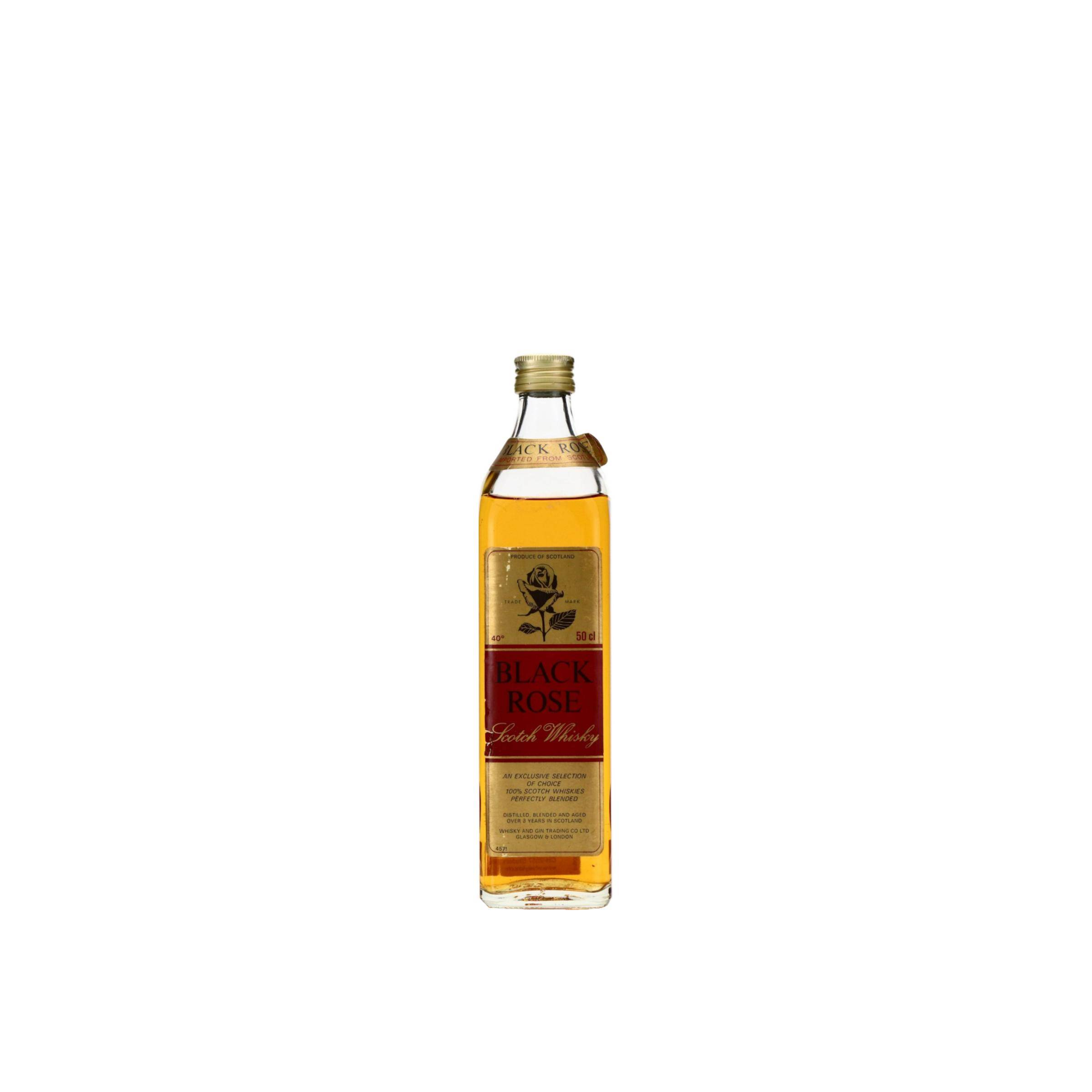 Black Rose (SC) 03-year-old