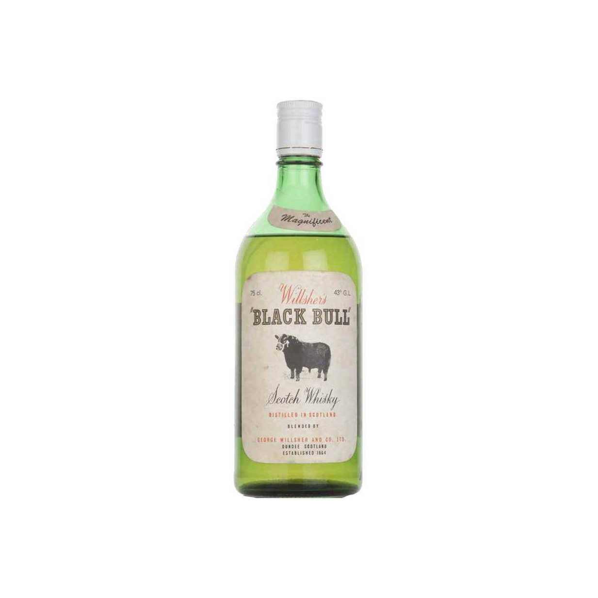 Black Bull Willsher’s GWC