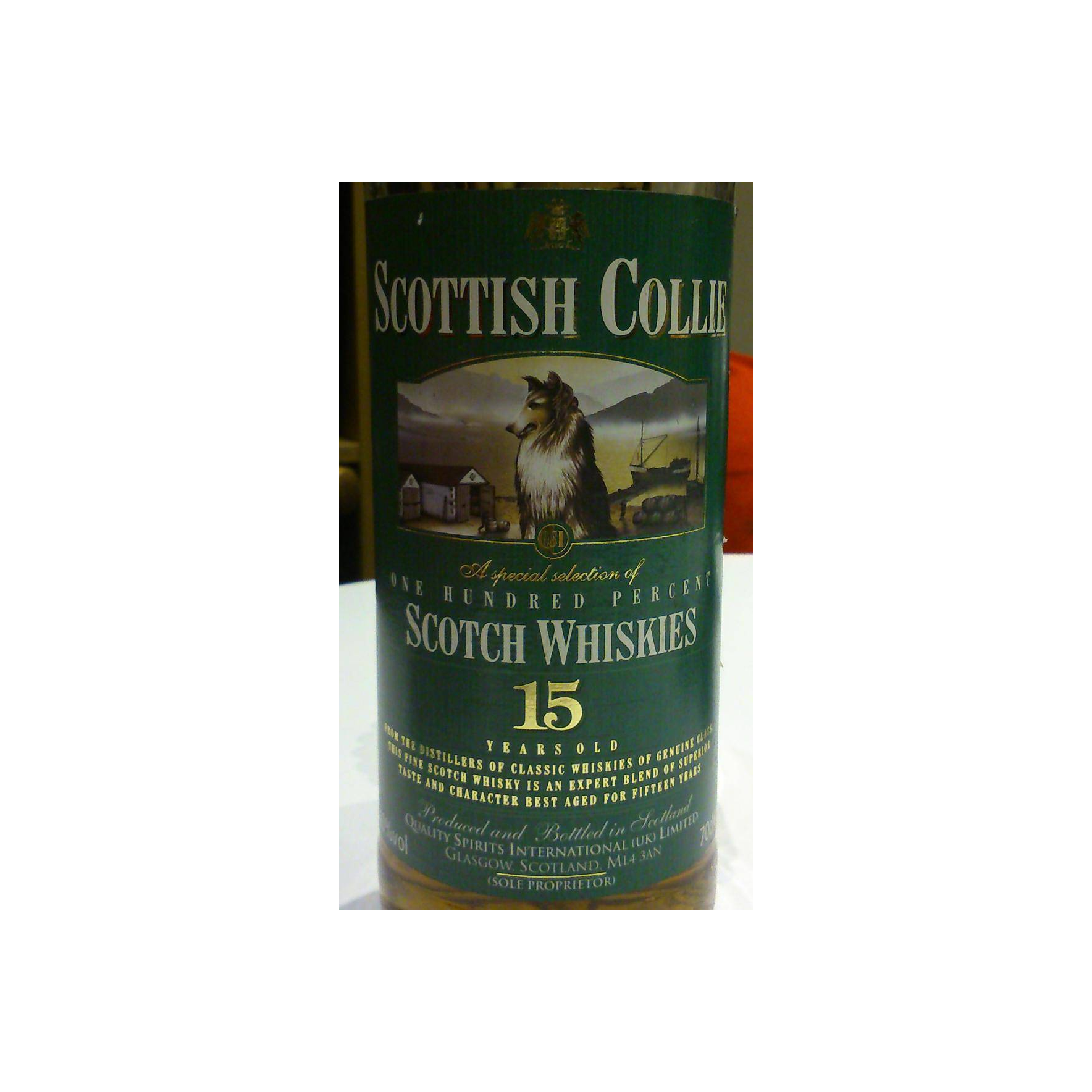 Scottish Collie 15-year-old QSI