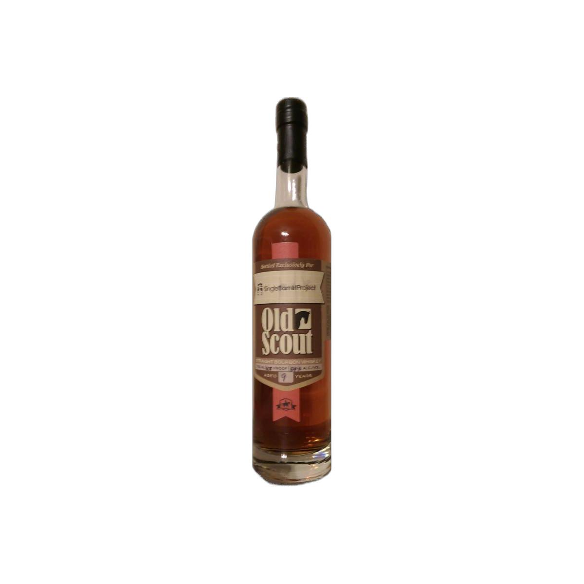 Smooth Ambler 09-year-old