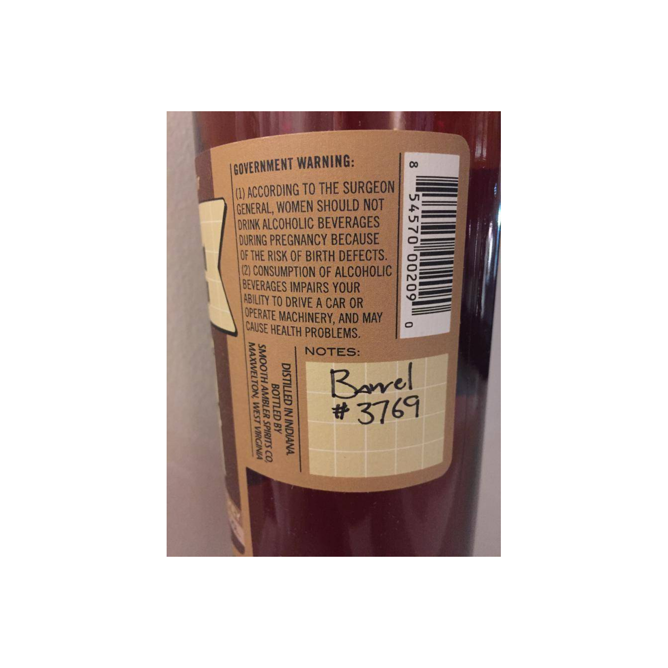 Smooth Ambler 11-year-old 2