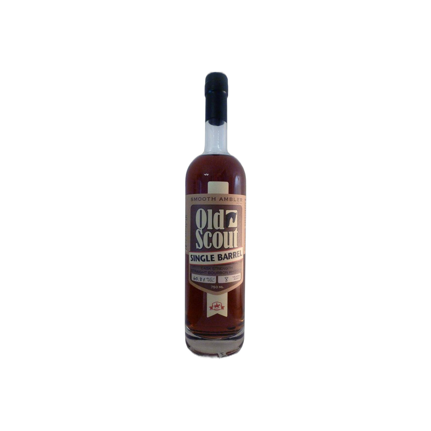 Smooth Ambler 08-year-old