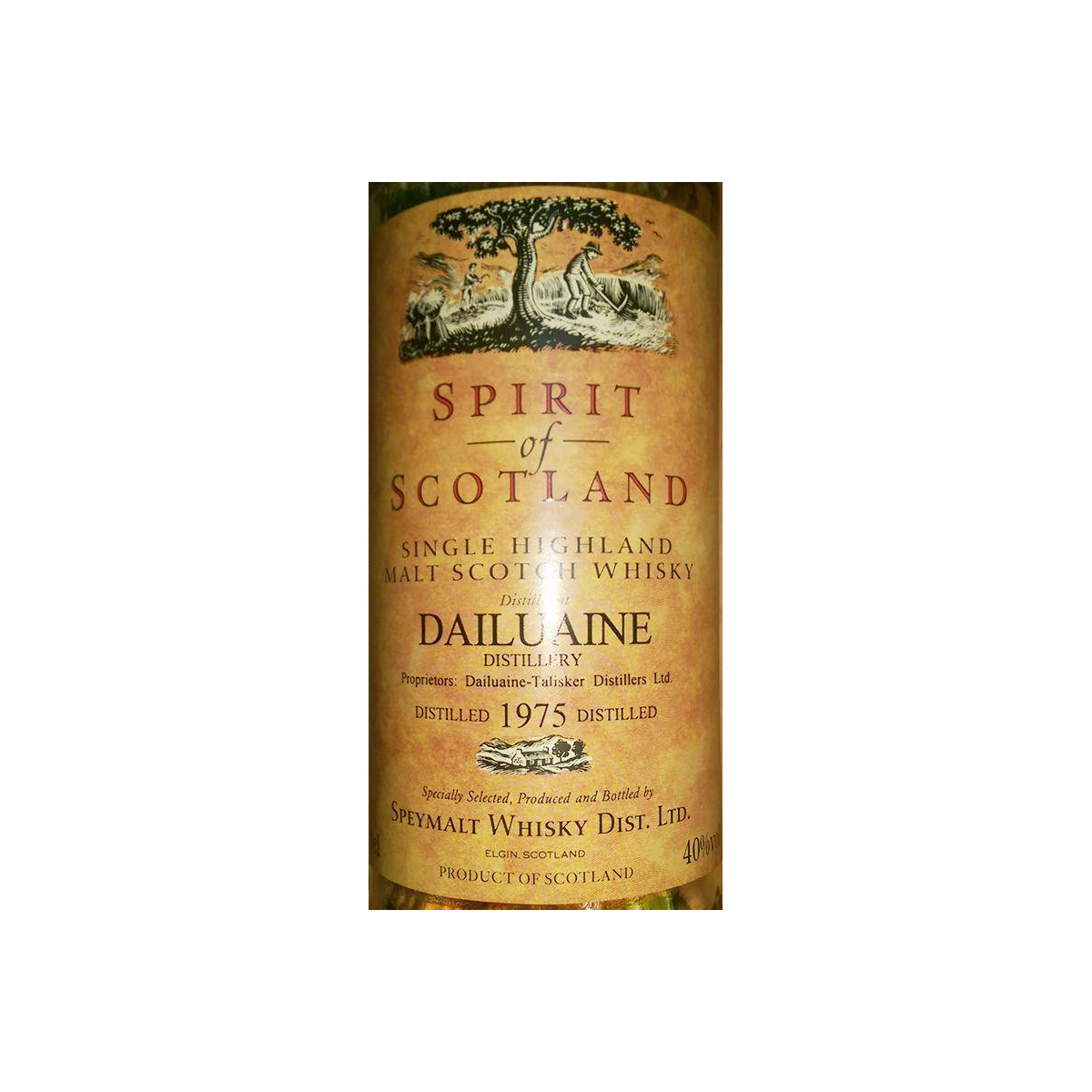 Dailuaine 1975 Single Malt Whisky