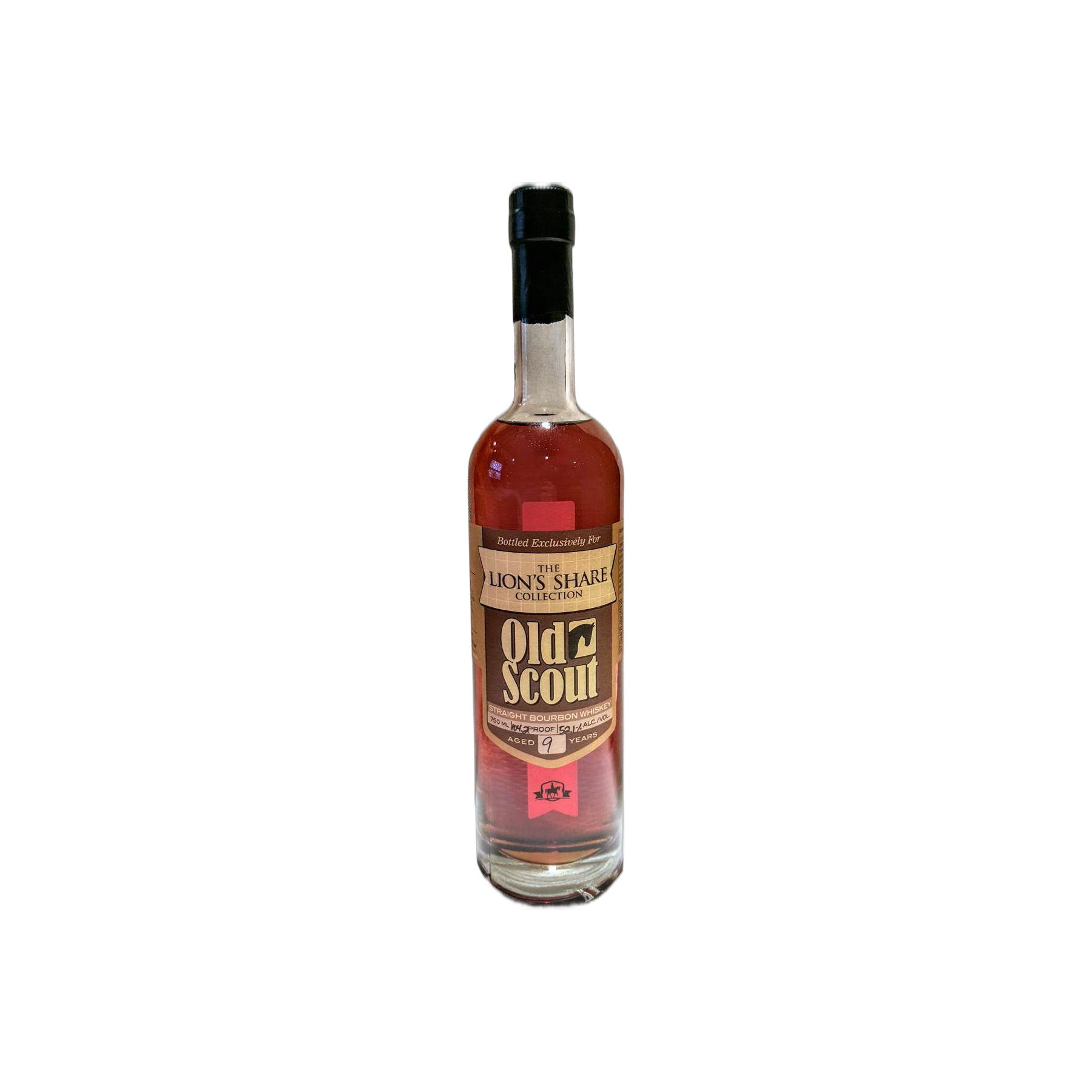 Smooth Ambler 09-year-old