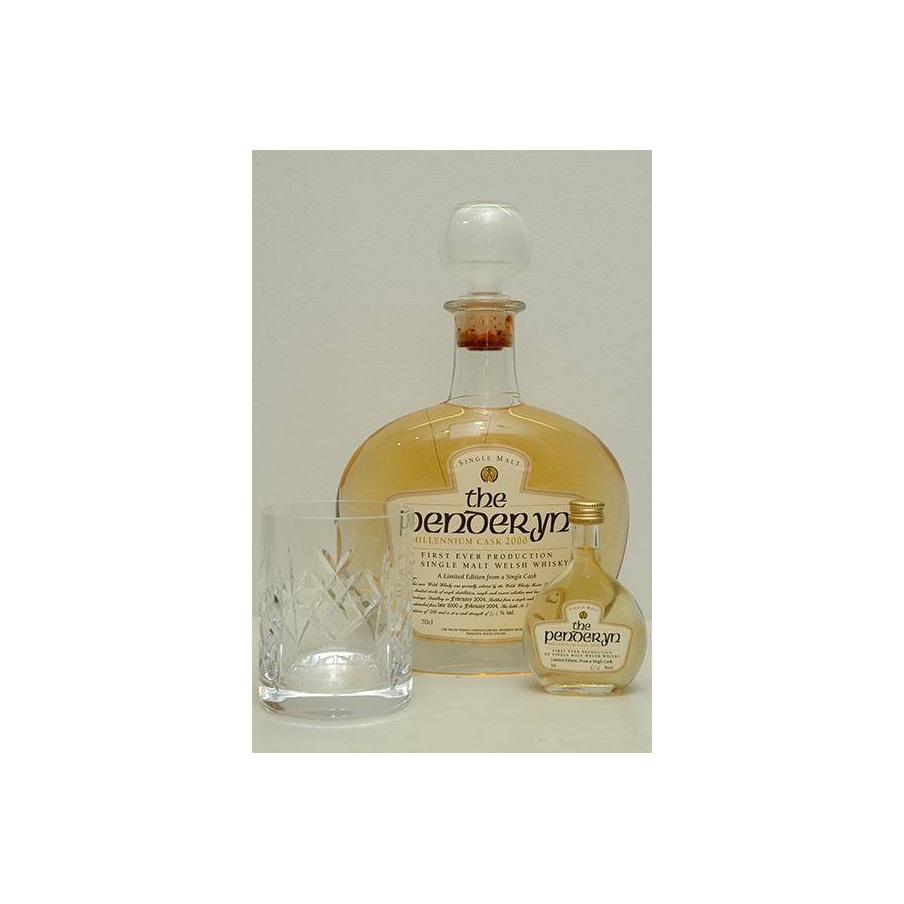 Penderyn 2000 3 Years Single Malt Whisky 2