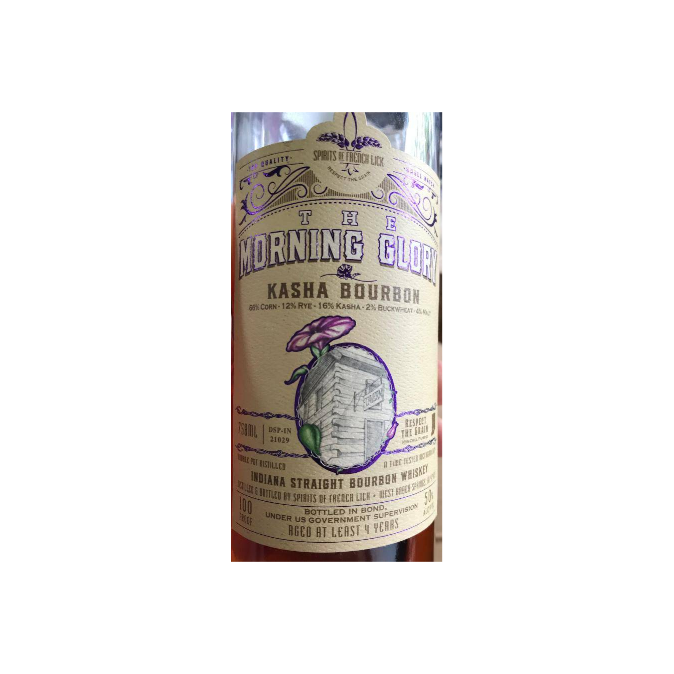 The Morning Glory 04-year-old 2
