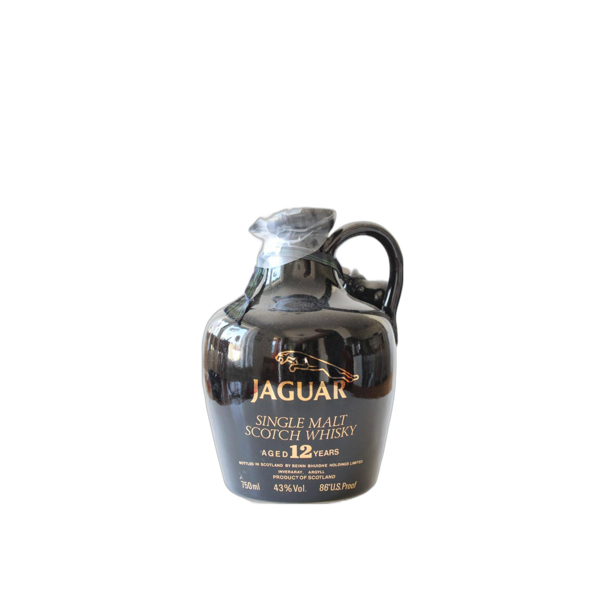 Jaguar 12-year-old 2