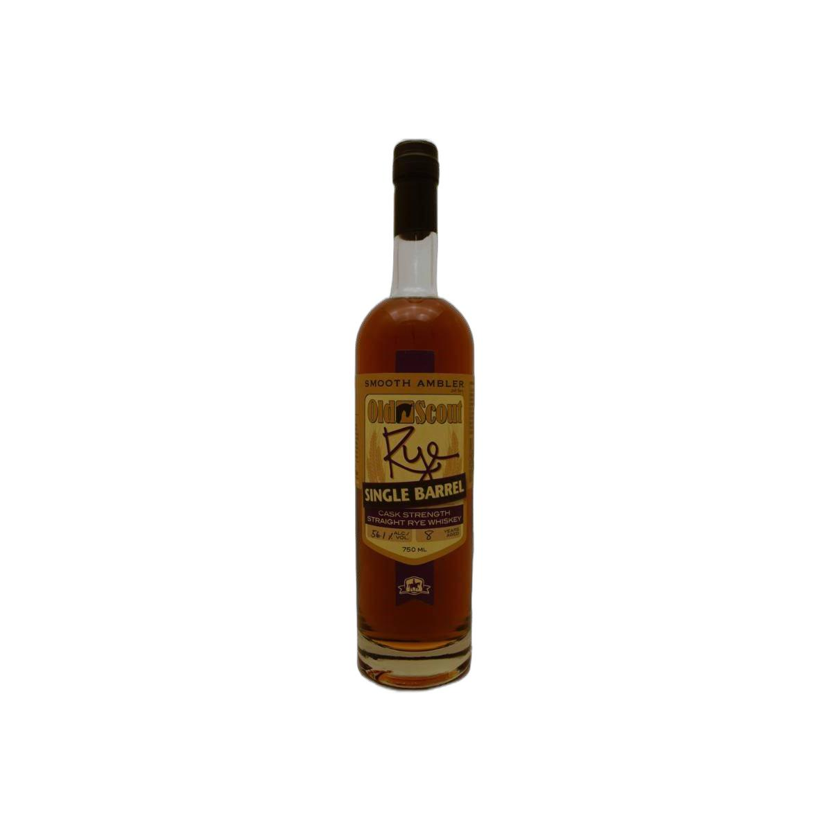 Smooth Ambler 08-year-old