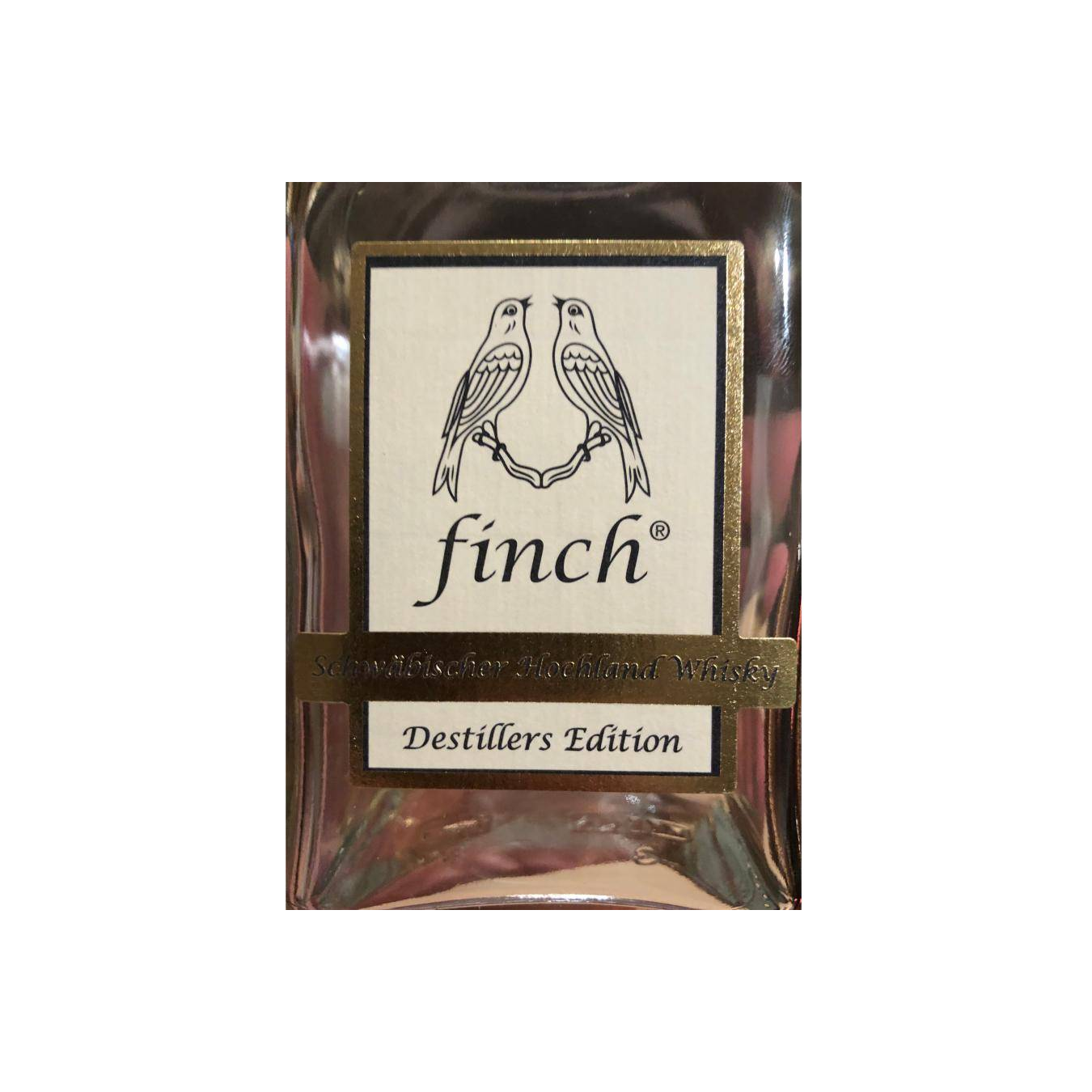 Finch 06-year-old