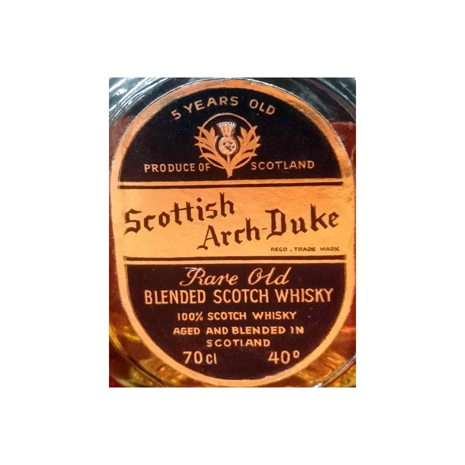Scottish Arch-Duke 05-year-old