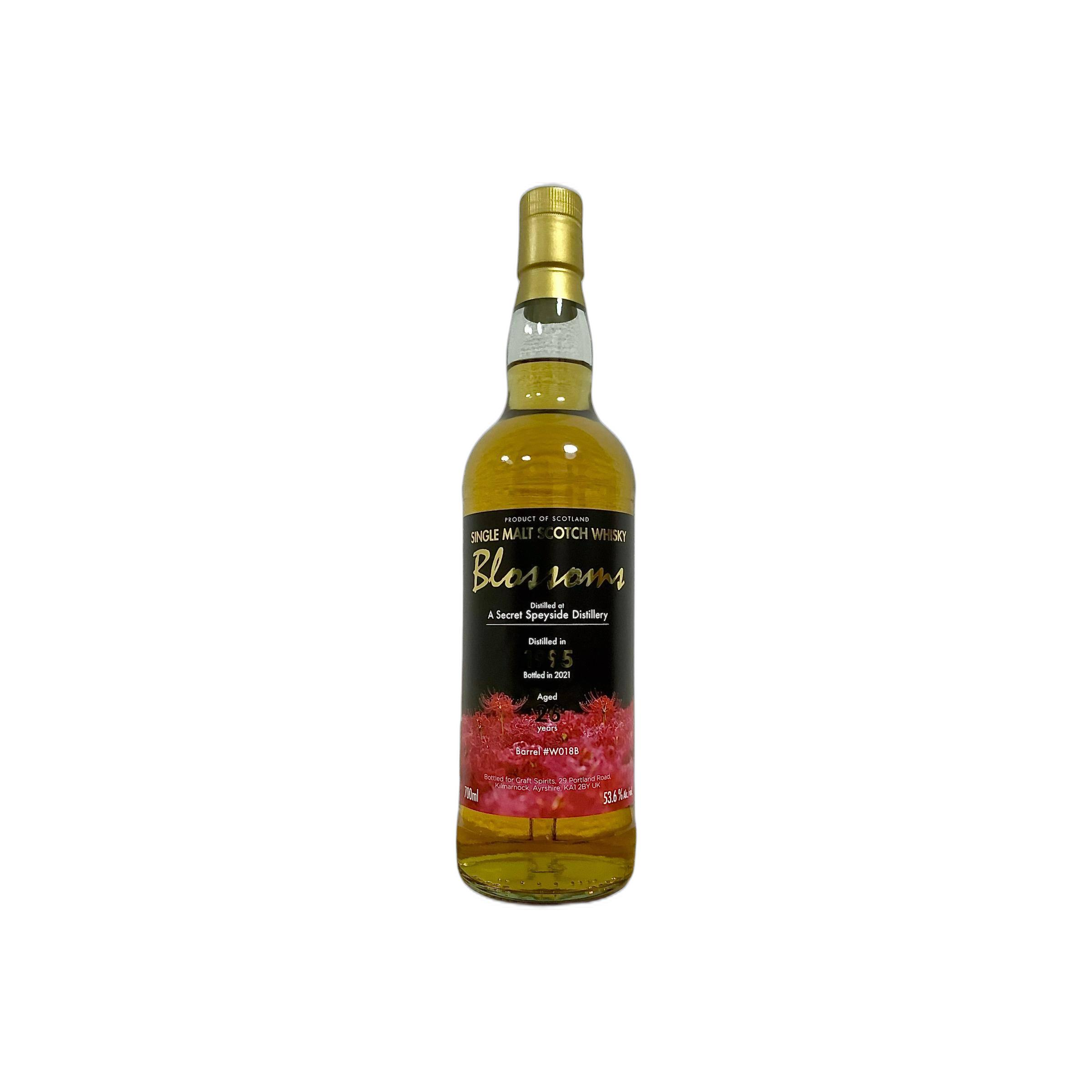 A Secret Speyside Distillery 1995 W-e