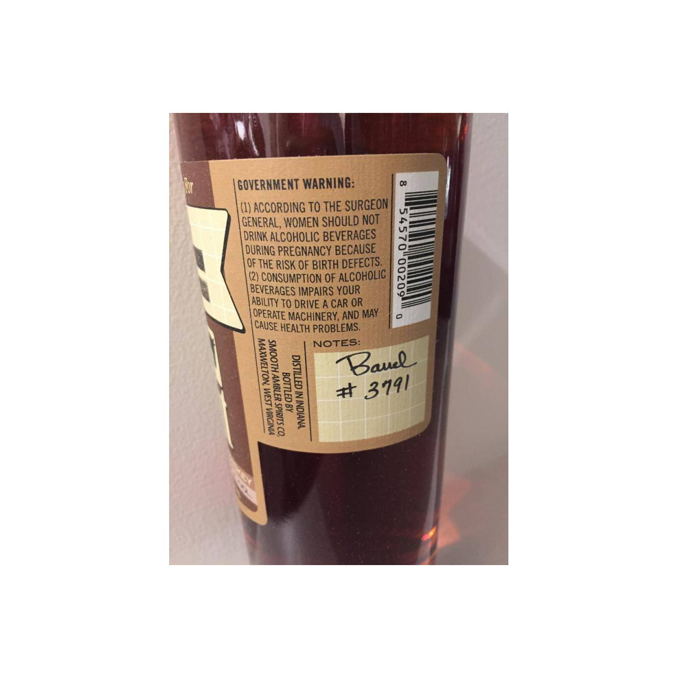 Smooth Ambler 11-year-old 2