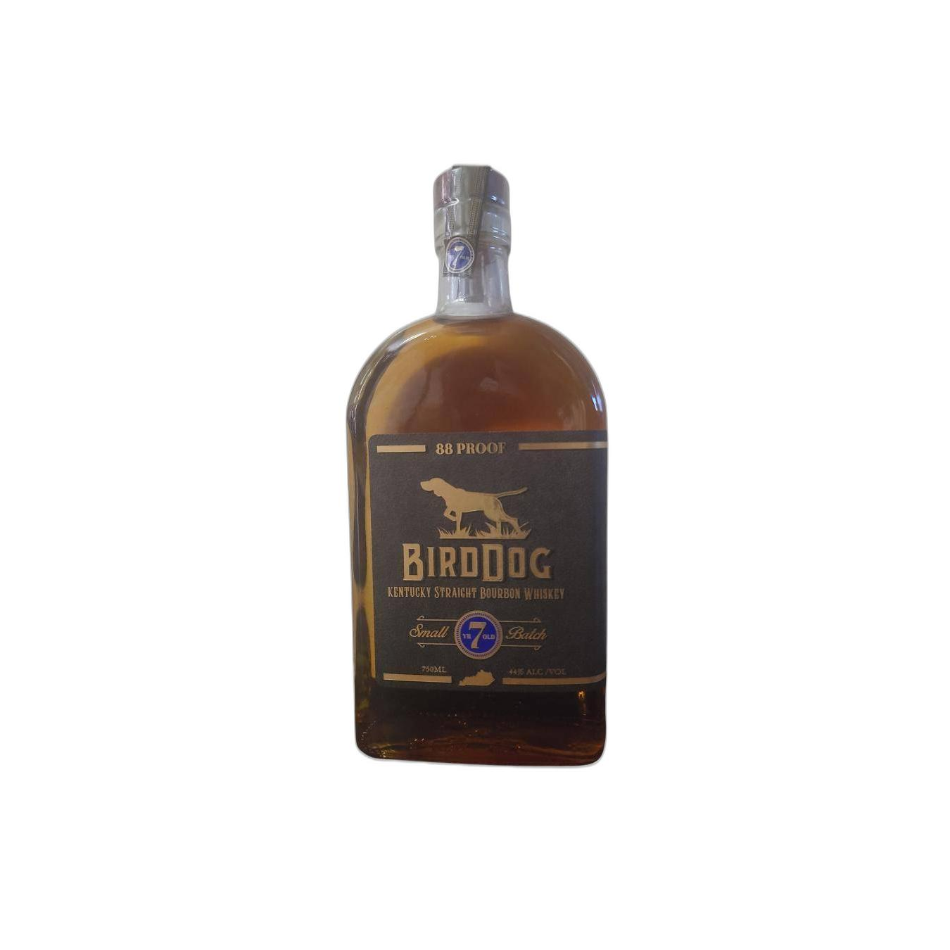 Bird Dog 07-year-old