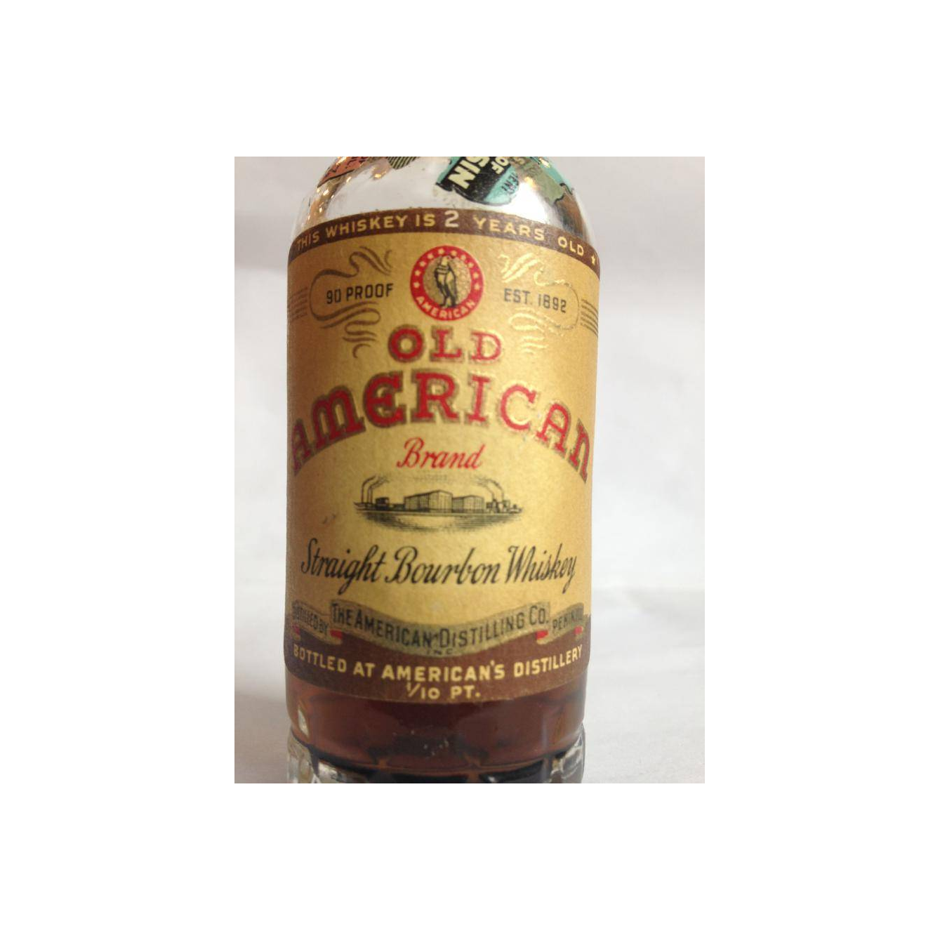 Old American 02-year-old 2