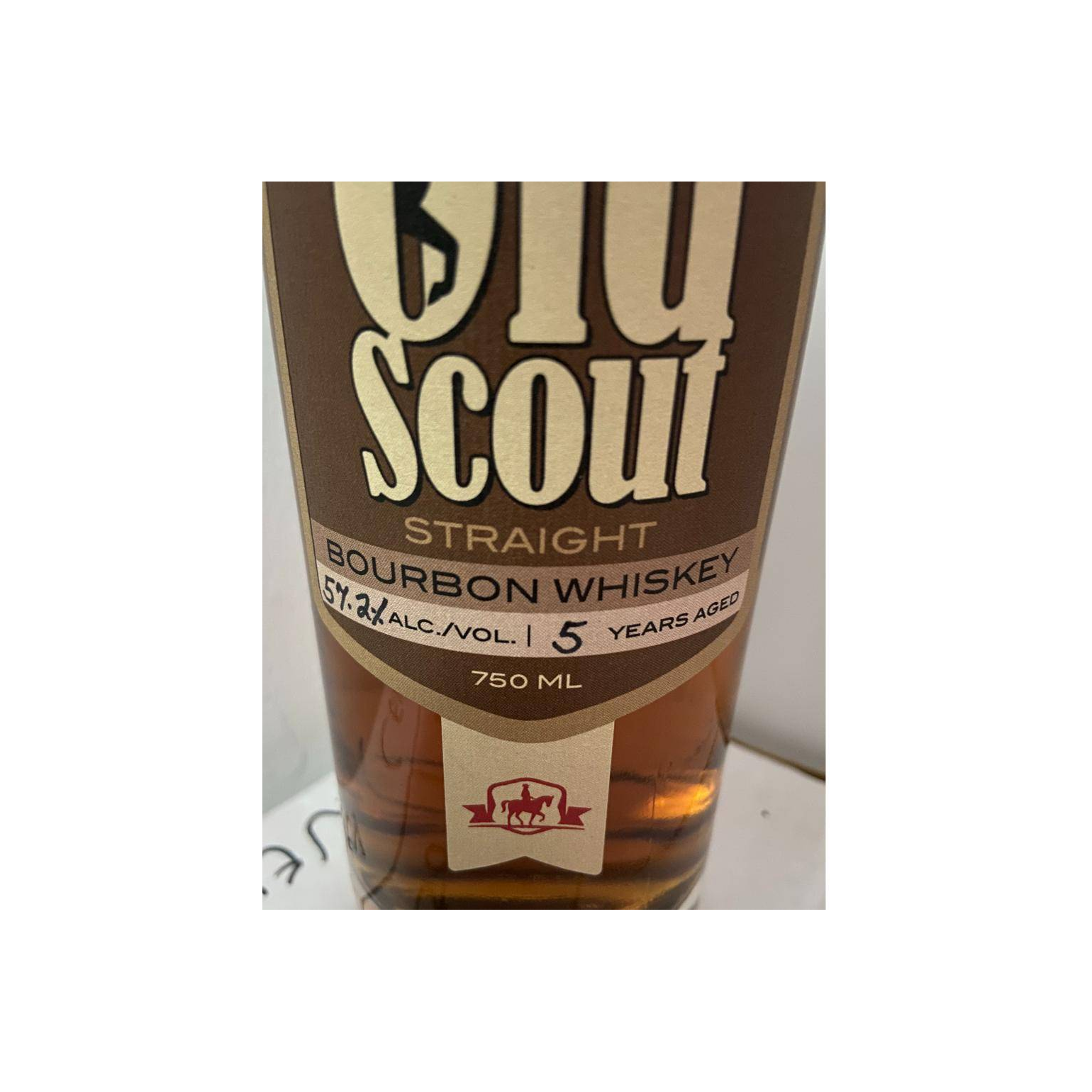 Smooth Ambler 05-year-old 2