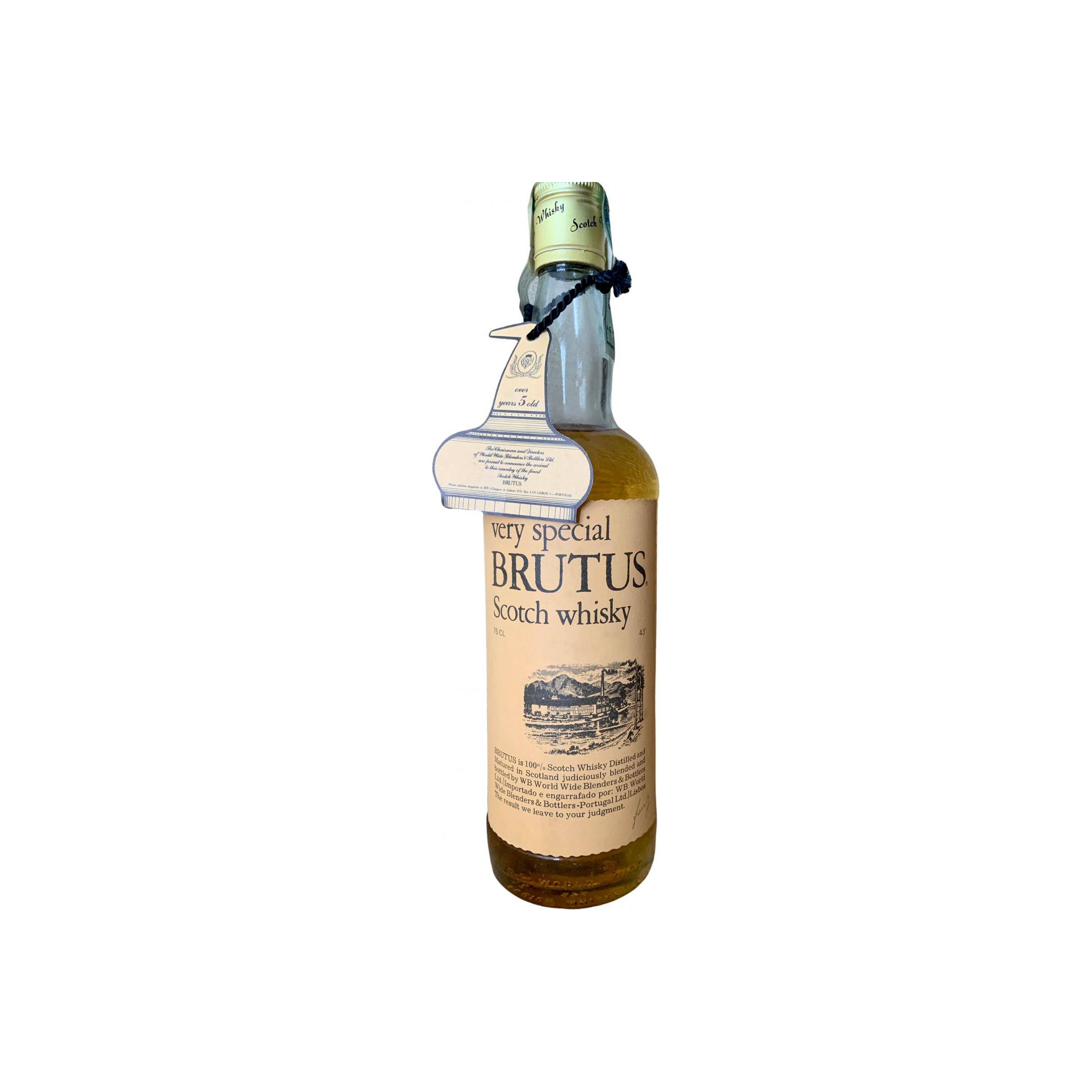 Brutus 05-year-old