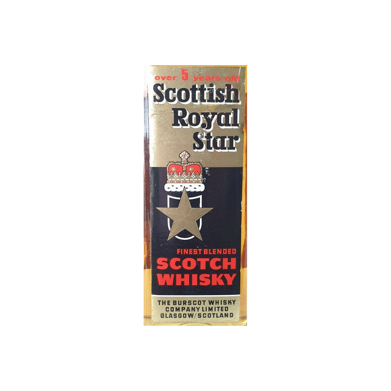 Scottish Royal Star 05-year-old 3