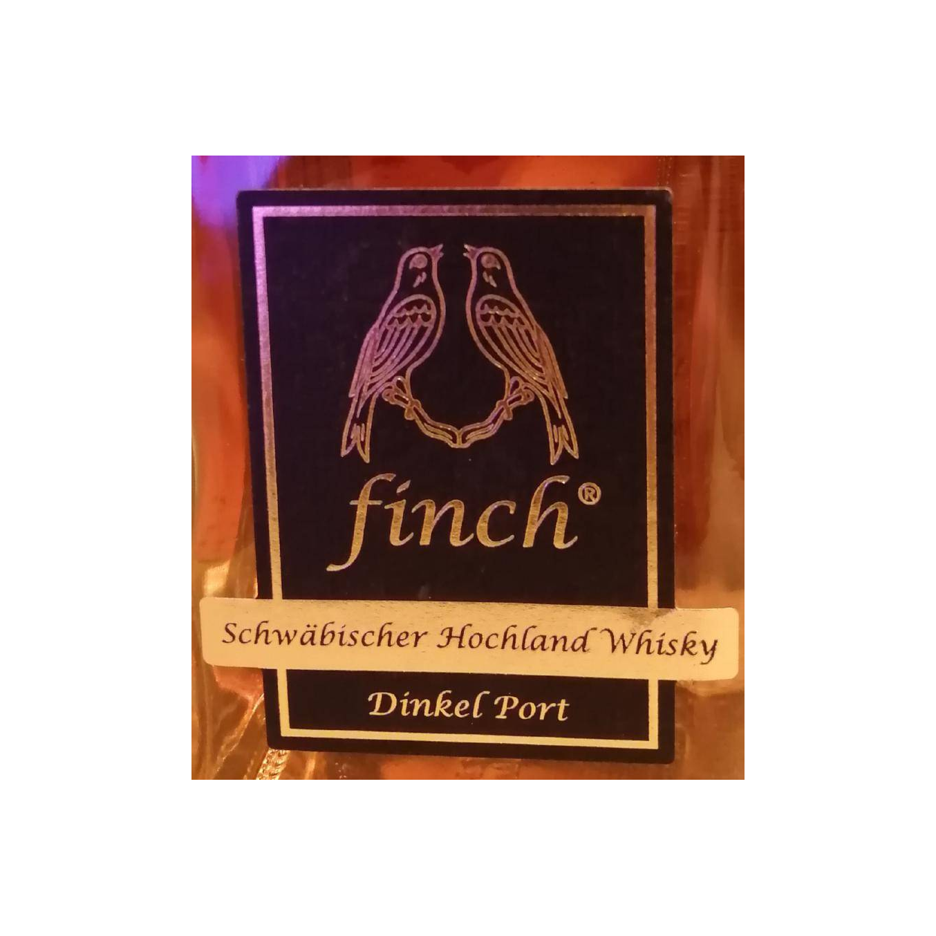 Finch 08-year-old 2