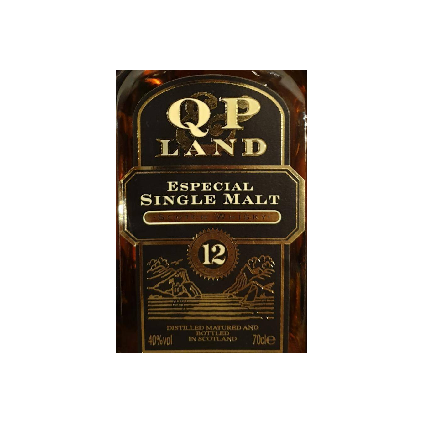 Q & P Land 12-year-old 2