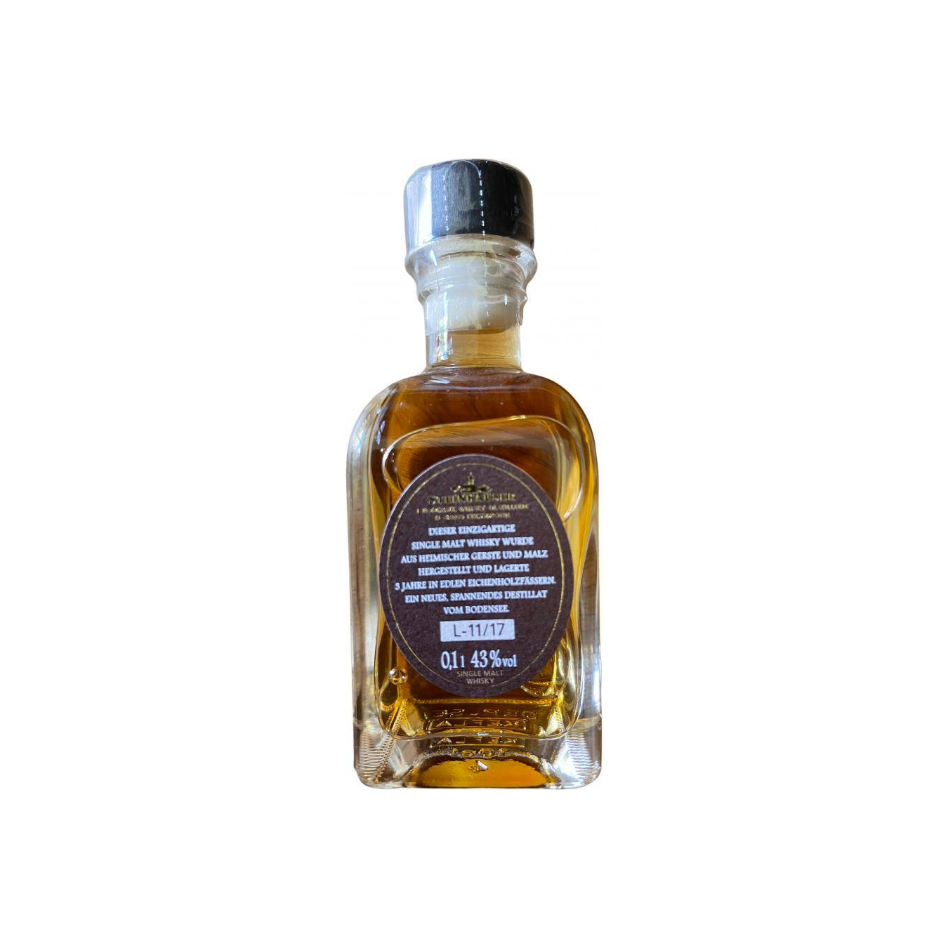 Brigantia 03-year-old 3