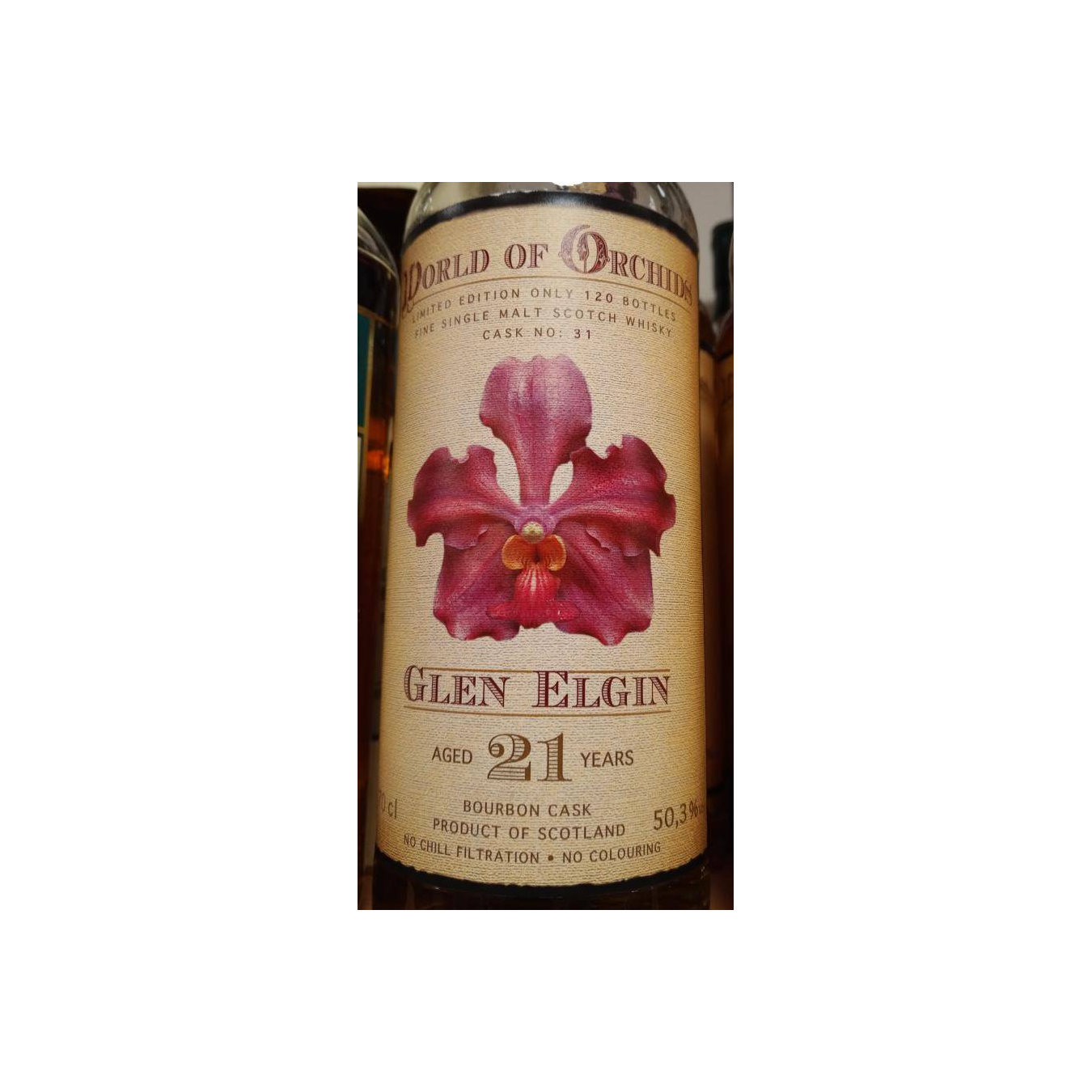 Glen Elgin 1995 21 Years Single Malt Whisky 2