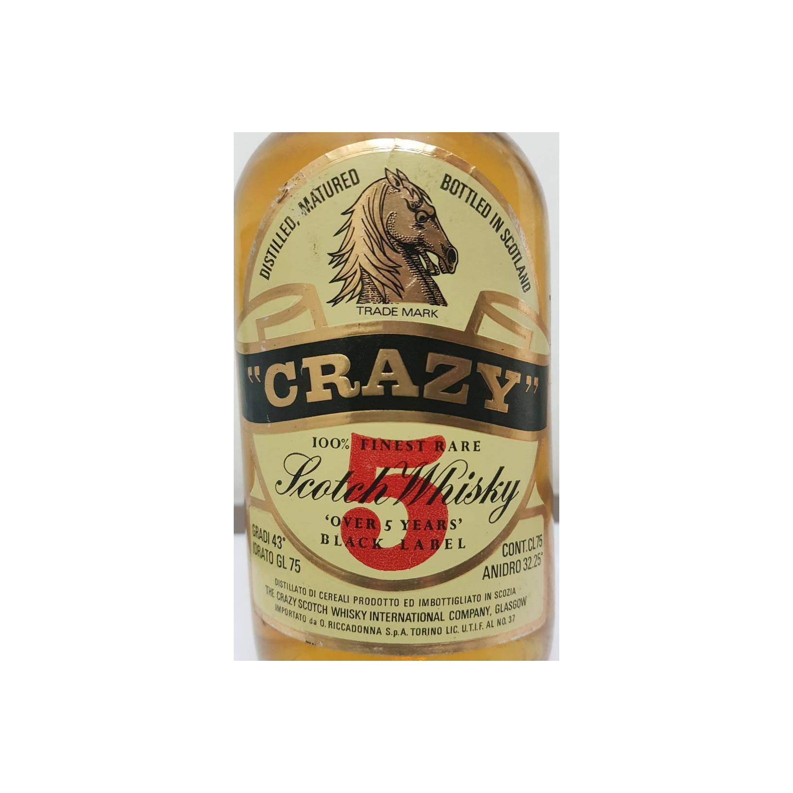 Crazy Horse 05-year-old 2