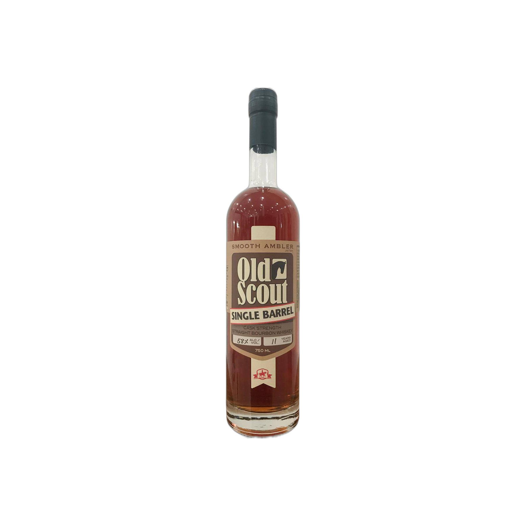 Smooth Ambler 11-year-old