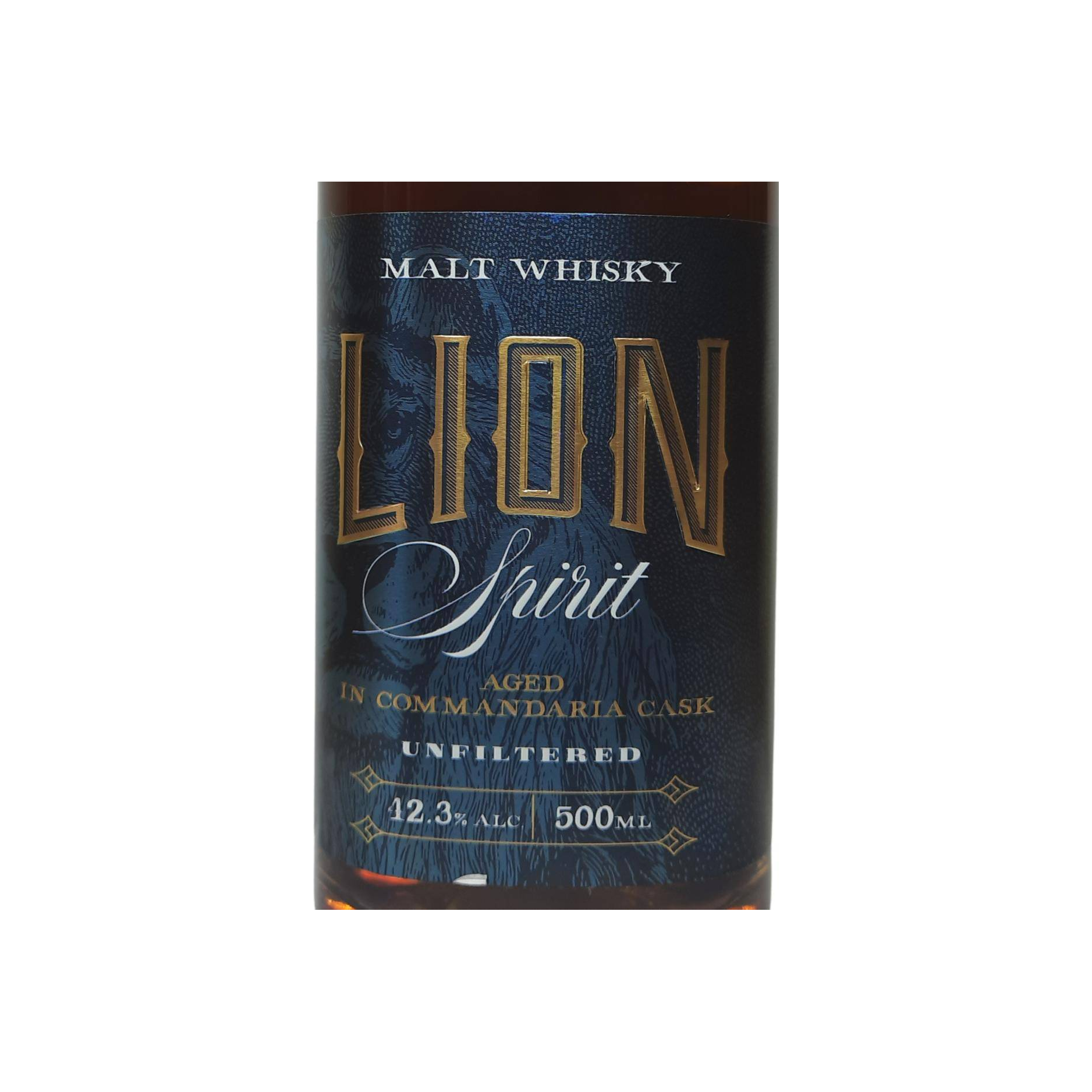 Lion 2016 3