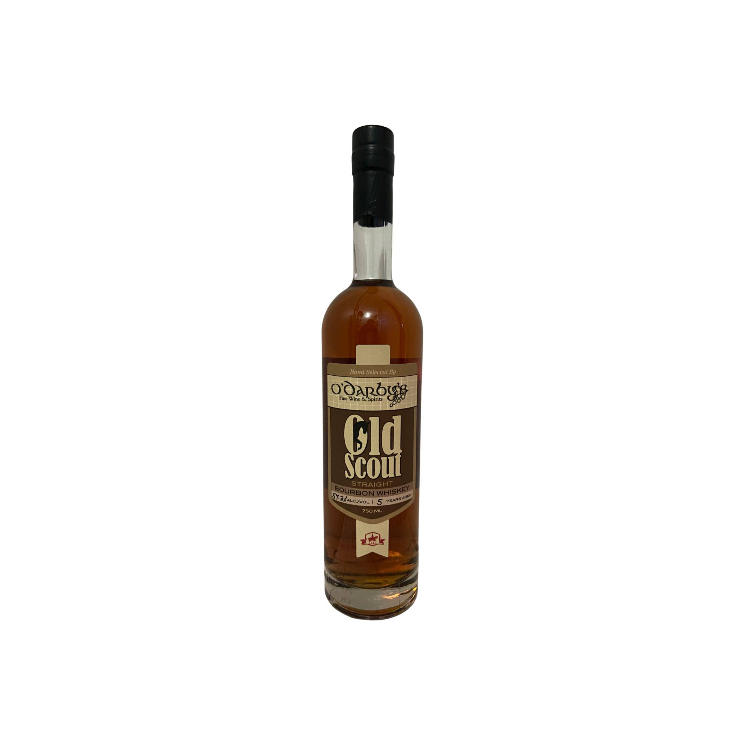 Smooth Ambler 05-year-old