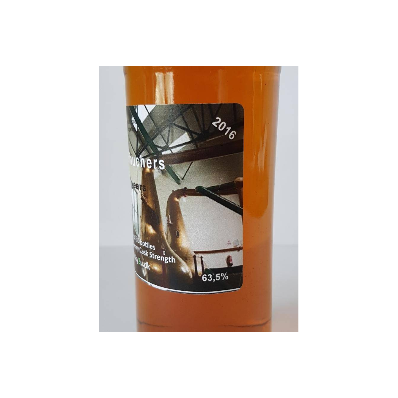 Glentauchers 2006 10 Years Single Malt Whisky 3