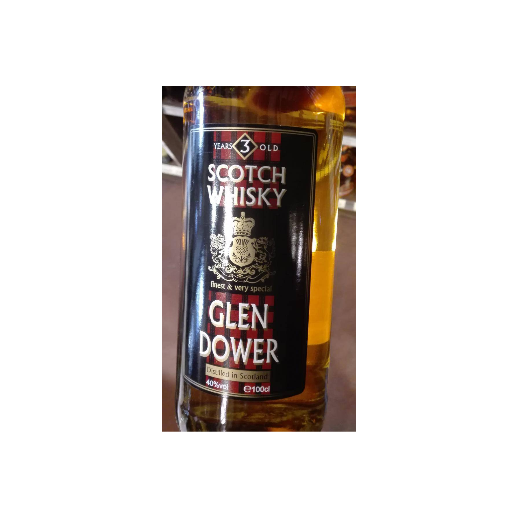 Glendower 03-year-old