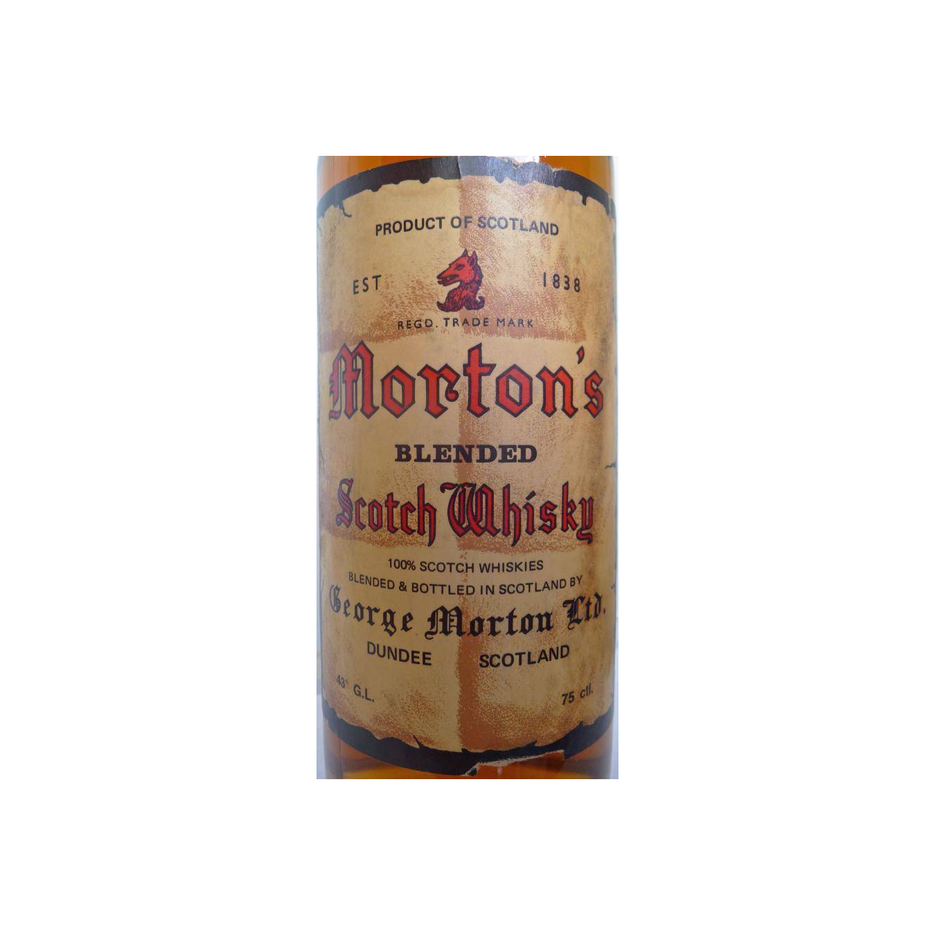 Morton's 05-year-old 2