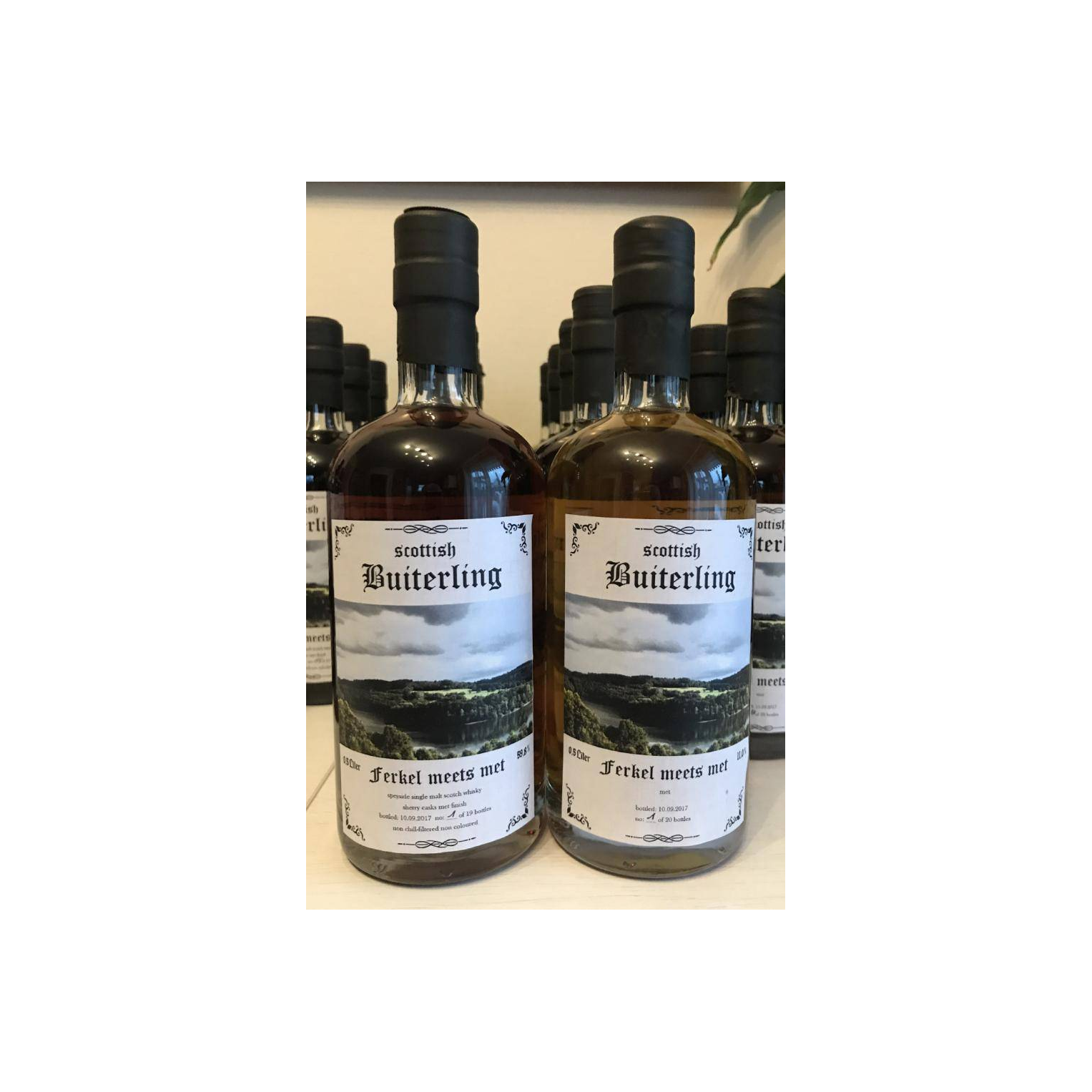 Scottish Buiterling Ferkel meets Met ScB