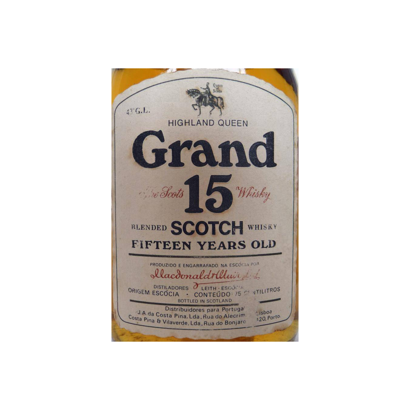 Highland Queen 15-year-old 3