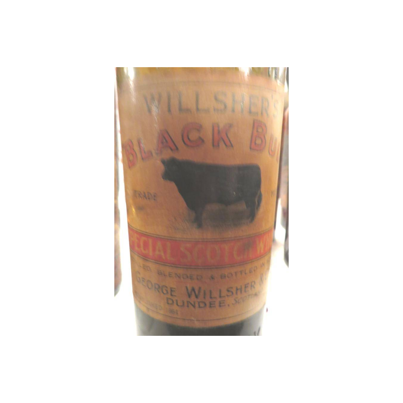 Black Bull Willsher's GWC