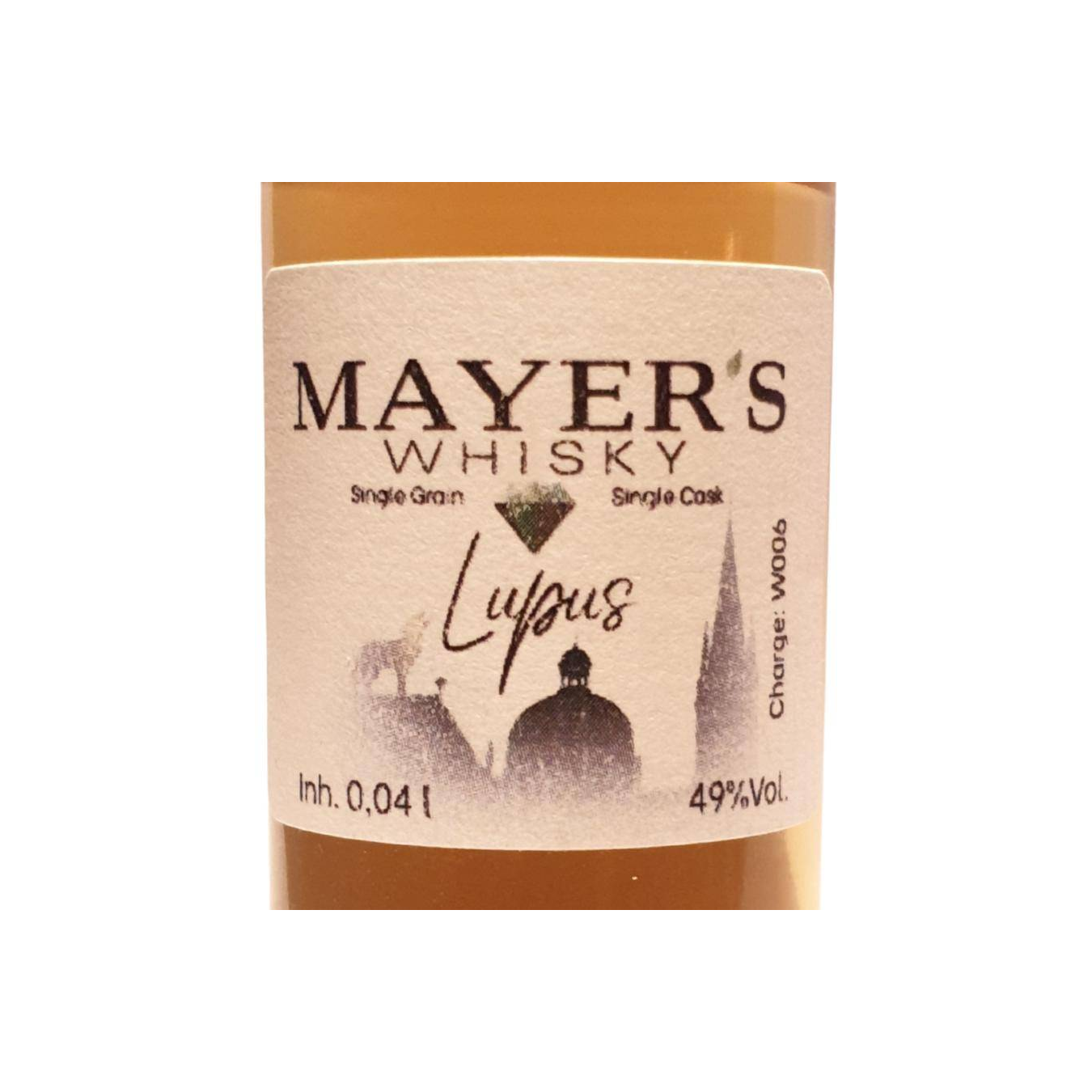Mayer's 2016 3