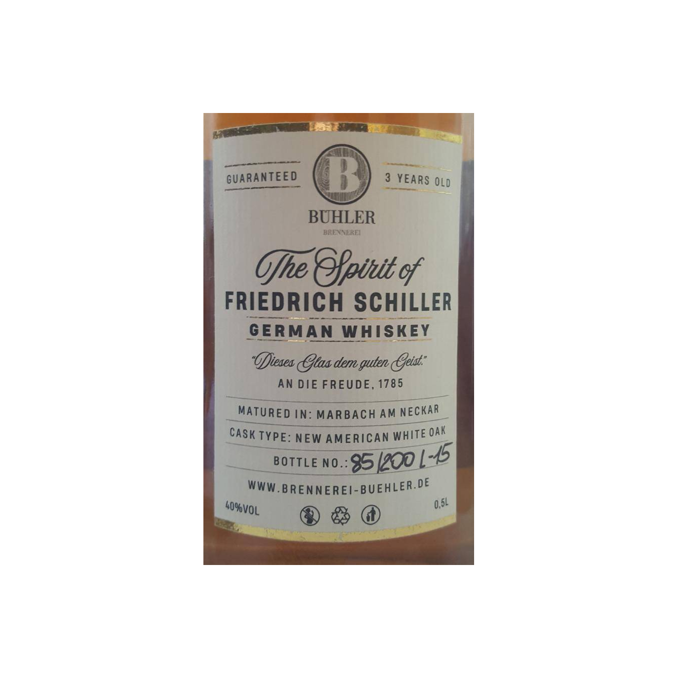 The Spirit of Friedrich Schiller 03-year-old 2