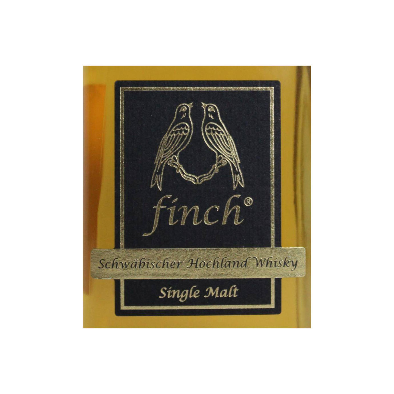 Finch 05-year-old 2